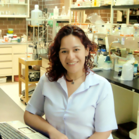 Paola Toledo Ibelles